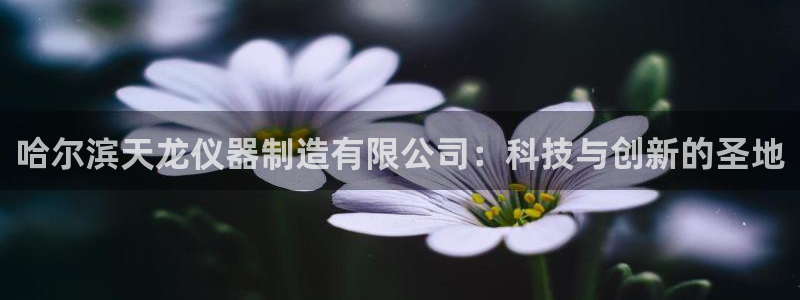 门徒娱乐发展趋势分析