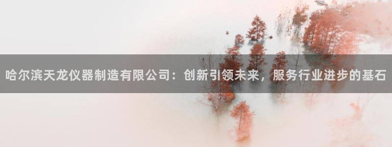 门徒娱乐是玩什么：哈尔滨天龙仪器制造有限公司：创新引领未来，