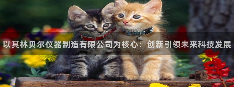 和娱乐门徒相似的小说：以其林贝尔仪器制造有限公司为核心：创新