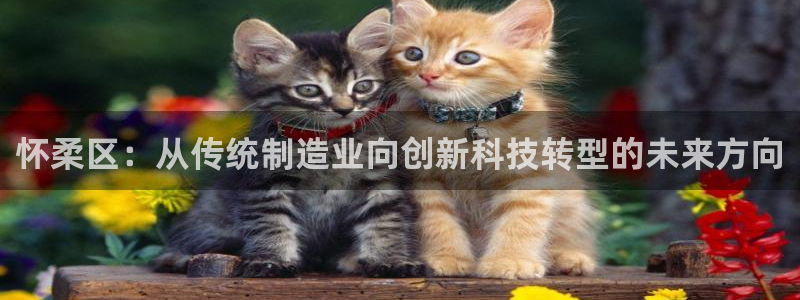 门徒娱乐官方网站地址在哪：怀柔区：从传统制造业向创新科技转型