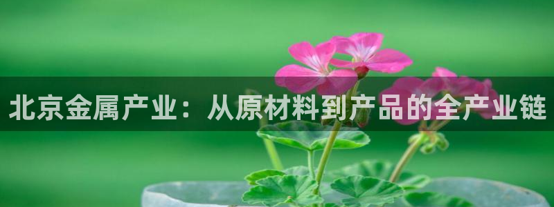 门徒娱乐平台安全吗知乎：北京金属产业：从原材料到产品的全产业