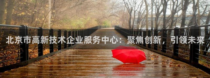 门徒娱乐成功案例有哪些：北京市高新技术企业服务中心：聚焦创新