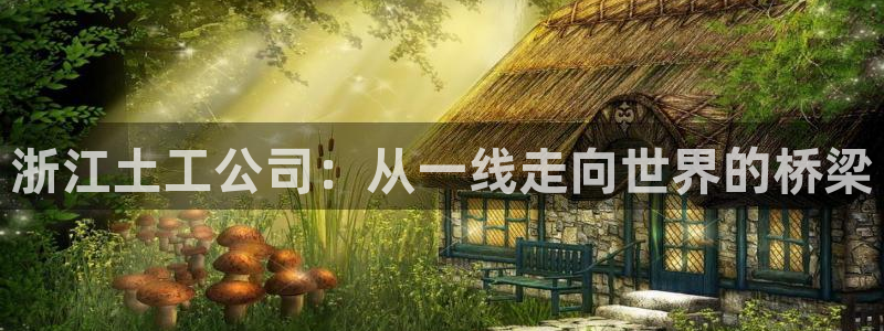 门徒娱乐是：浙江土工公司：从一线走向世界的桥梁