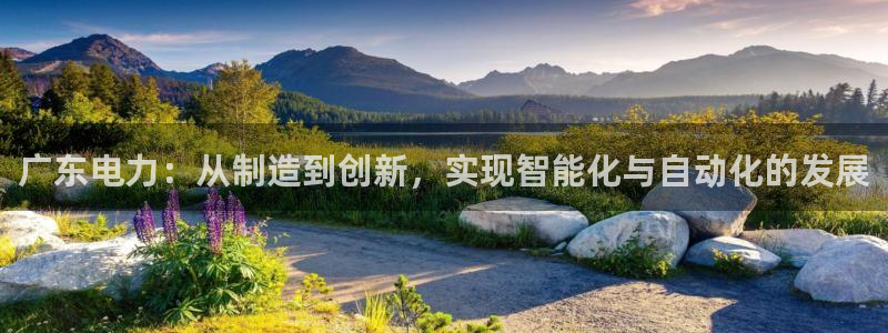 门徒娱乐集团是干嘛的：广东电力：从制造到创新，实现智能化与自