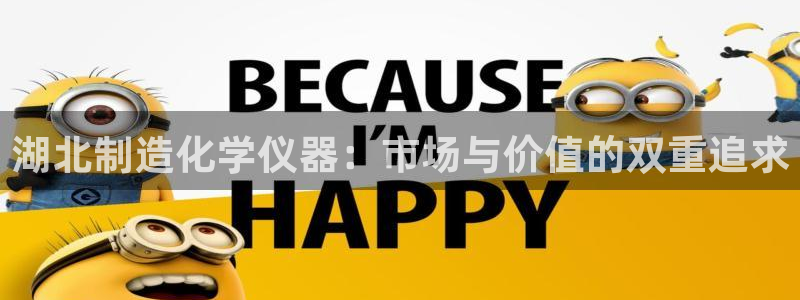 门徒娱乐代理注册多少钱：湖北制造化学仪器：市场与价值的双重追