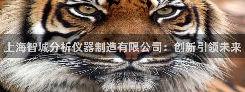 门徒娱乐怎么注册微信号：上海智城分析仪器制造有限公司：创新引