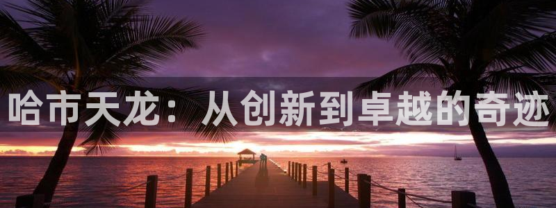 门徒娱乐后5指尖：哈市天龙：从创新到卓越的奇迹