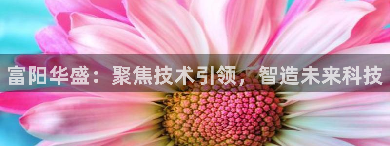 门徒娱乐网页版登录不了：富阳华盛：聚焦技术引领，智造未来科技
