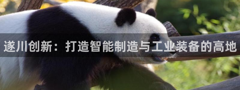 门徒娱乐注册地址怎么填：遂川创新：打造智能制造与工业装备的高