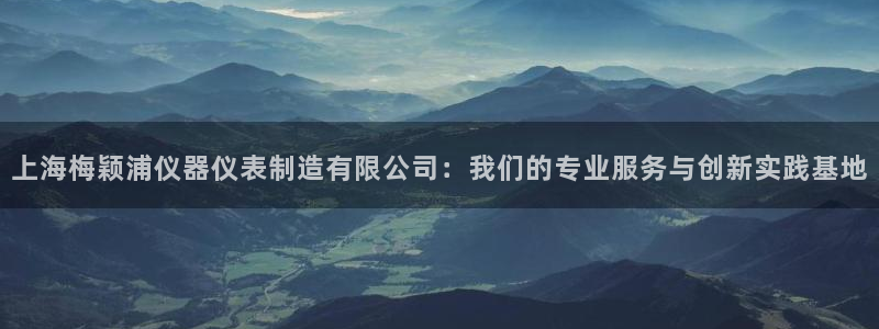 门徒娱乐登录注册：上海梅颖浦仪器仪表制造有限公司：我们的专业