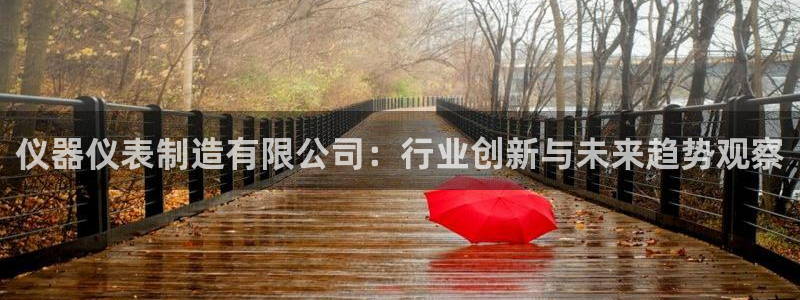 拉菲9门徒娱乐地址：仪器仪表制造有限公司：行业创新与未来趋势