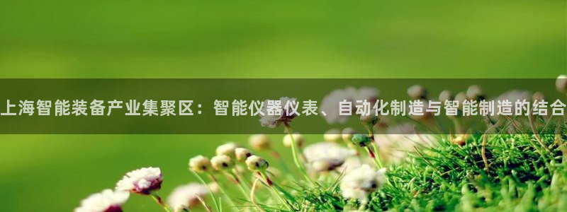 门徒娱乐区究7276O：上海智能装备产业集聚区：智能仪器仪表