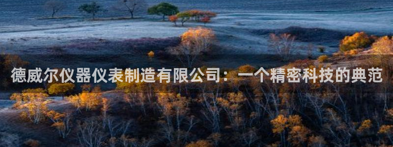 门徒娱乐注册平台有哪些：德威尔仪器仪表制造有限公司：一个精密