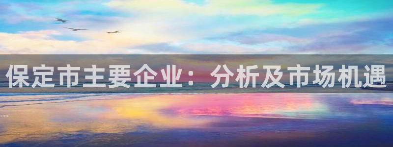 门徒娱乐能挣钱嘛知乎：保定市主要企业：分析及市场机遇