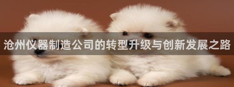 门徒娱乐 - 门徒娱乐注册app平台：沧州仪器制造公司的转型