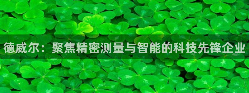 门徒娱乐的客服服务：德威尔：聚焦精密测量与智能的科技先锋企业