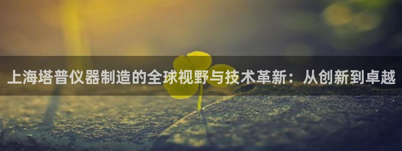 门徒娱乐入口：上海塔普仪器制造的全球视野与技术革新：从创新到