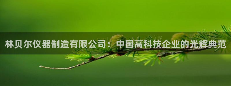 门徒娱乐网址是什么：林贝尔仪器制造有限公司：中国高科技企业的