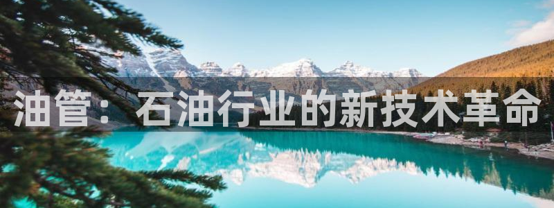 娱乐门徒完结了吗小说：油管：石油行业的新技术革命