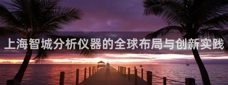 类似娱乐门徒类小说：上海智城分析仪器的全球布局与创新实践