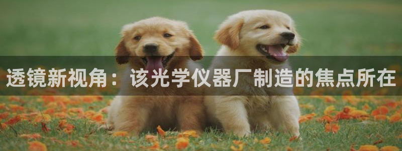 门徒娱乐充钱是真的吗：透镜新视角：该光学仪器厂制造的焦点所在