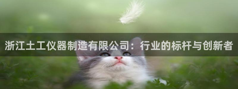 门徒娱乐去看判官333OO