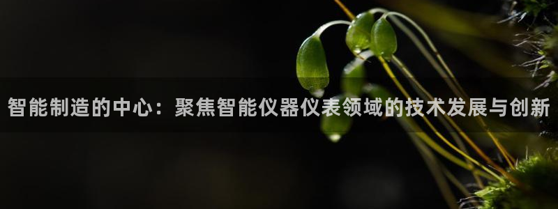 娱乐门徒 白云生：智能制造的中心：聚焦智能仪器仪表领域的技术