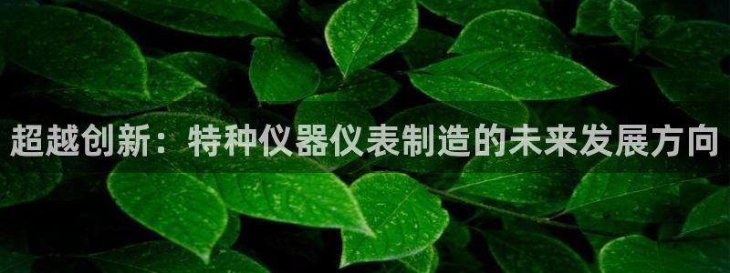 门徒第娱乐月7O667：超越创新：特种仪器仪表制造的未来发展