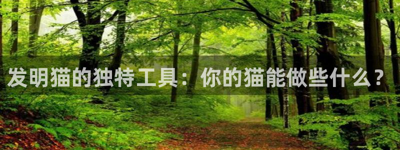 门徒娱乐是不是赌博行为：发明猫的独特工具：你的猫能做些什么？