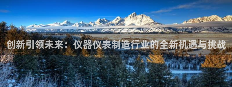 娱乐门徒棉花糖：创新引领未来：仪器仪表制造行业的全新机遇与挑