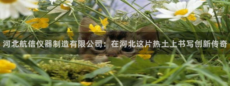 娱乐门徒娱乐世纪：河北航信仪器制造有限公司：在河北这片热土上