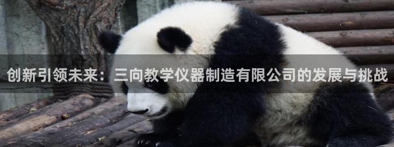 门徒娱乐网站在线观看：创新引领未来：三向教学仪器制造有限公司