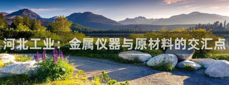 门徒娱乐最新消息今天视频：河北工业：金属仪器与原材料的交汇点
