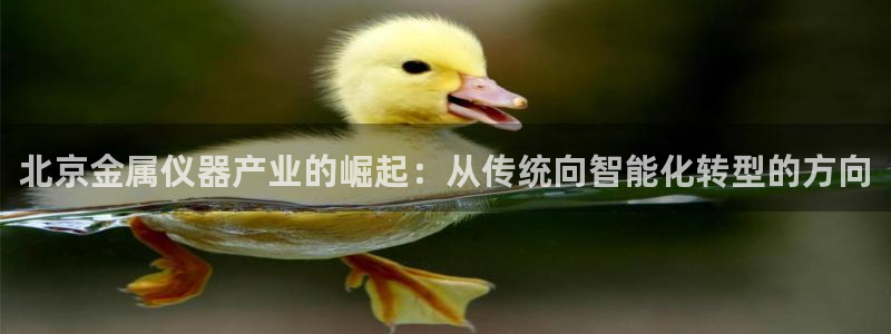 门徒海上娱乐活动：北京金属仪器产业的崛起：从传统向智能化转型