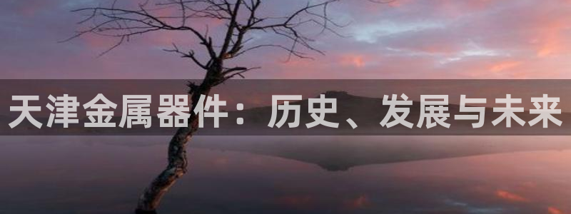 门徒娱乐乙833_43：天津金属器件：历史、发展与未来
