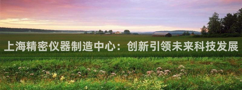 门徒彩票娱乐平台大代理：上海精密仪器制造中心：创新引领未来科