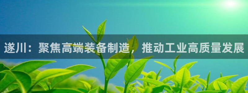 门徒娱乐老板是谁呀：遂川：聚焦高端装备制造，推动工业高质量发