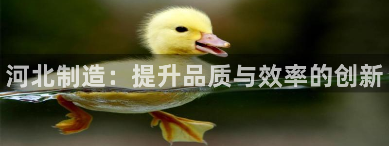 门徒娱乐用户评价与反馈怎么写：河北制造：提升品质与效率的创新