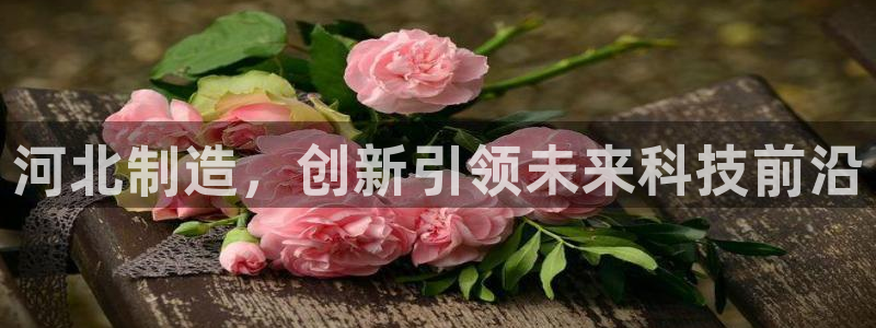 门徒娱乐赞7O777：河北制造，创新引领未来科技前沿