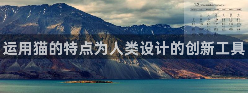 门徒官方娱乐：运用猫的特点为人类设计的创新工具