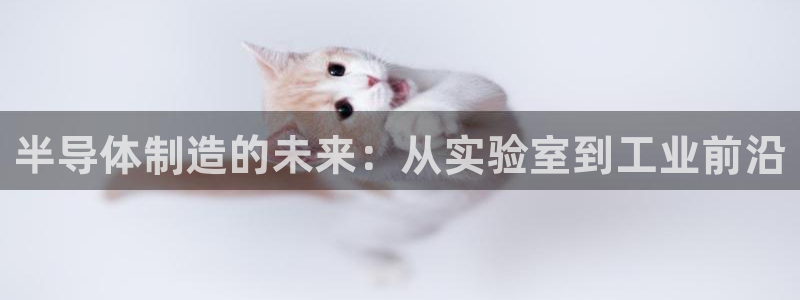 门徒娱乐网站在线观看：半导体制造的未来：从实验室到工业前沿