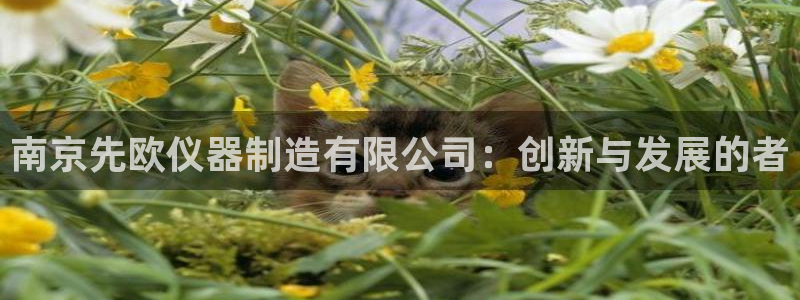 门徒娱乐网页版登录：南京先欧仪器制造有限公司：创新与发展的者