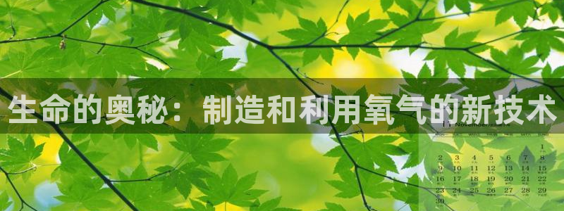 门徒娱乐圈看判官333oo：生命的奥秘：制造和利用氧气的新技