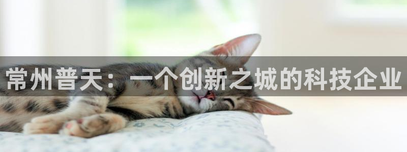 门徒娱乐是玩什么：常州普天：一个创新之城的科技企业