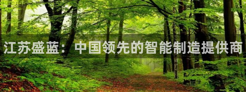 门徒娱乐怎么提不了款：江苏盛蓝：中国领先的智能制造提供商