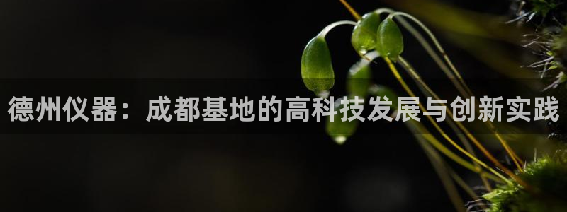 门徒娱乐怎么代理游戏