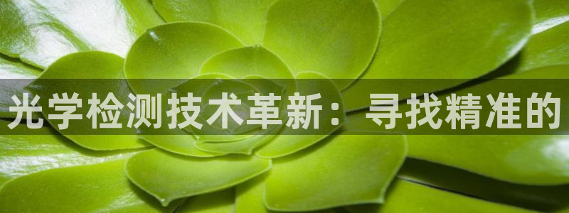 门徒娱乐吧：光学检测技术革新：寻找精准的