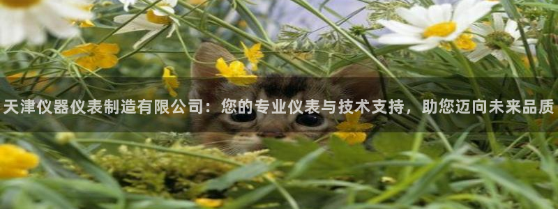 门徒娱乐老板：天津仪器仪表制造有限公司：您的专业仪表与技术支