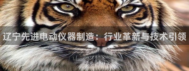 门徒娱乐登录网站官网：辽宁先进电动仪器制造：行业革新与技术引
