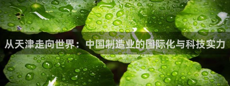 娱乐门徒登录网站：从天津走向世界：中国制造业的国际化与科技实